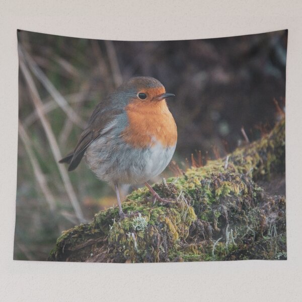 Item preview, Robin red breast designed and sold by Hike-and-Click.