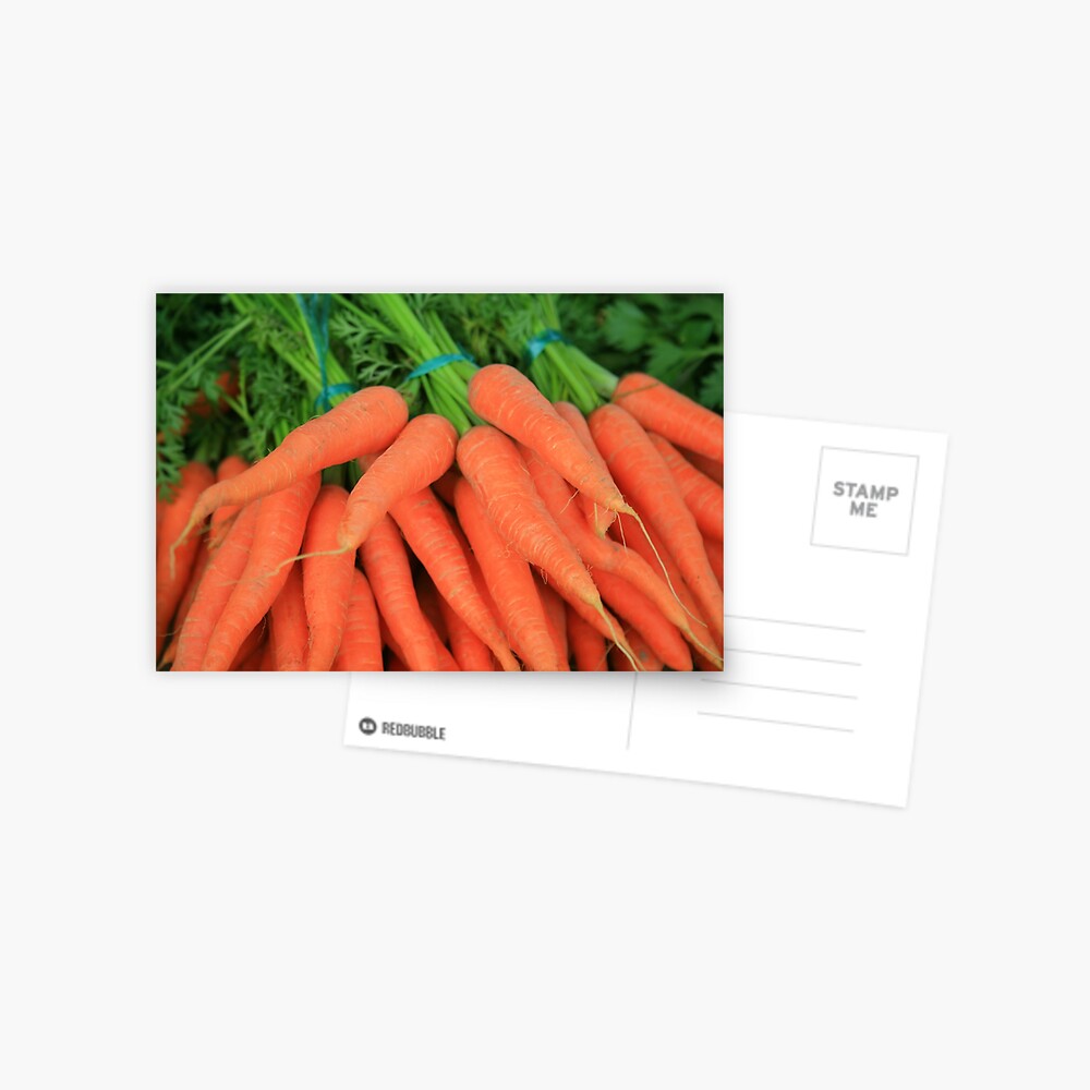 Item preview, Postcard designed and sold by lizgarnett.