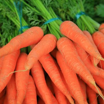 Artwork thumbnail, www.lizgarnett.com ... Dinan Carrots, Brittany, France by Liz Garnett Travel Photographer