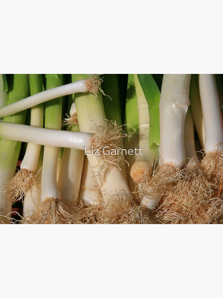 Thumbnail 2 of 2, Greeting Card, www.lizgarnett.com ... Dinan Leeks, Brittany, France designed and sold by lizgarnett.