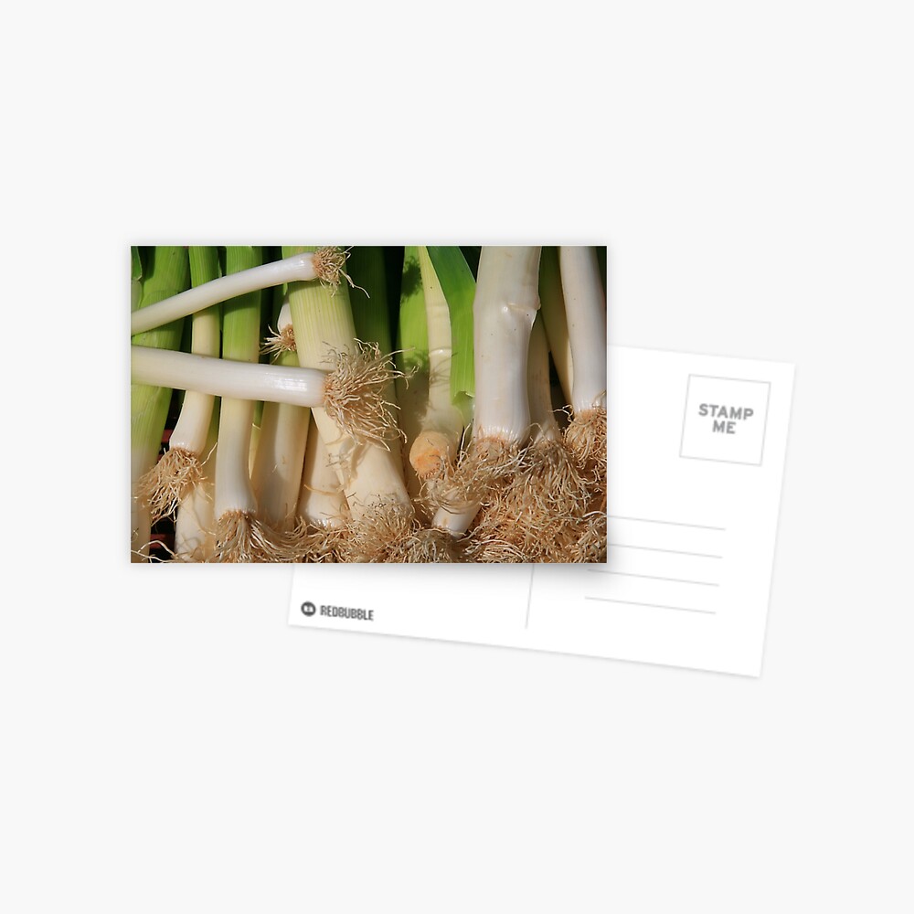 Item preview, Postcard designed and sold by lizgarnett.