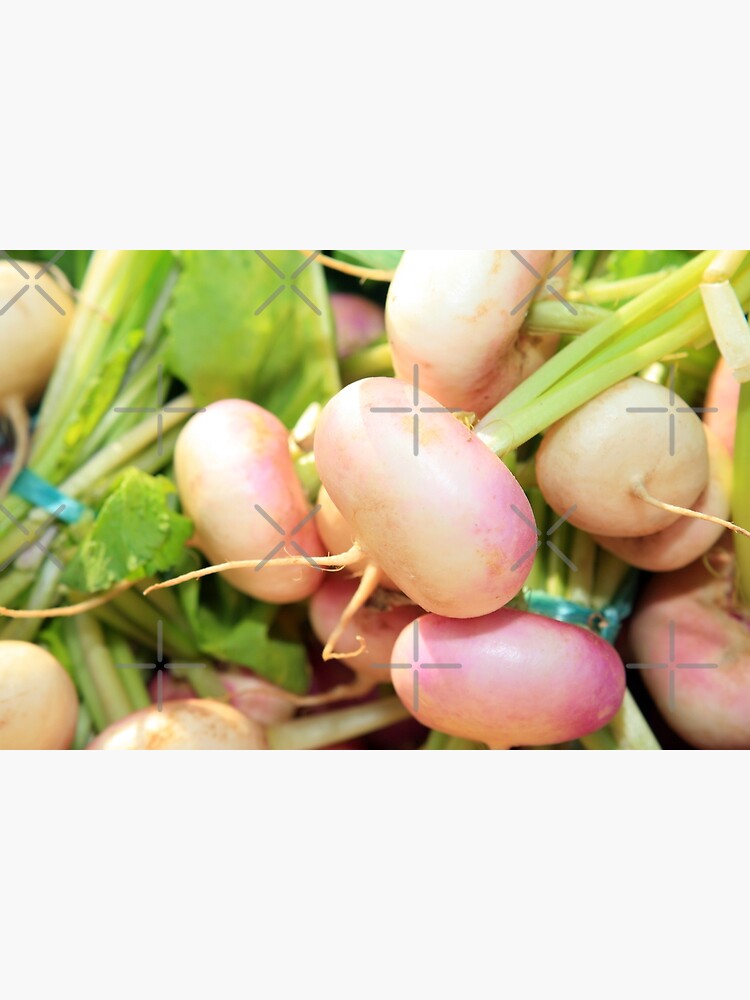 Thumbnail 2 of 2, Greeting Card, www.lizgarnett.com ... St Cast Turnips, Brittany, France designed and sold by lizgarnett.