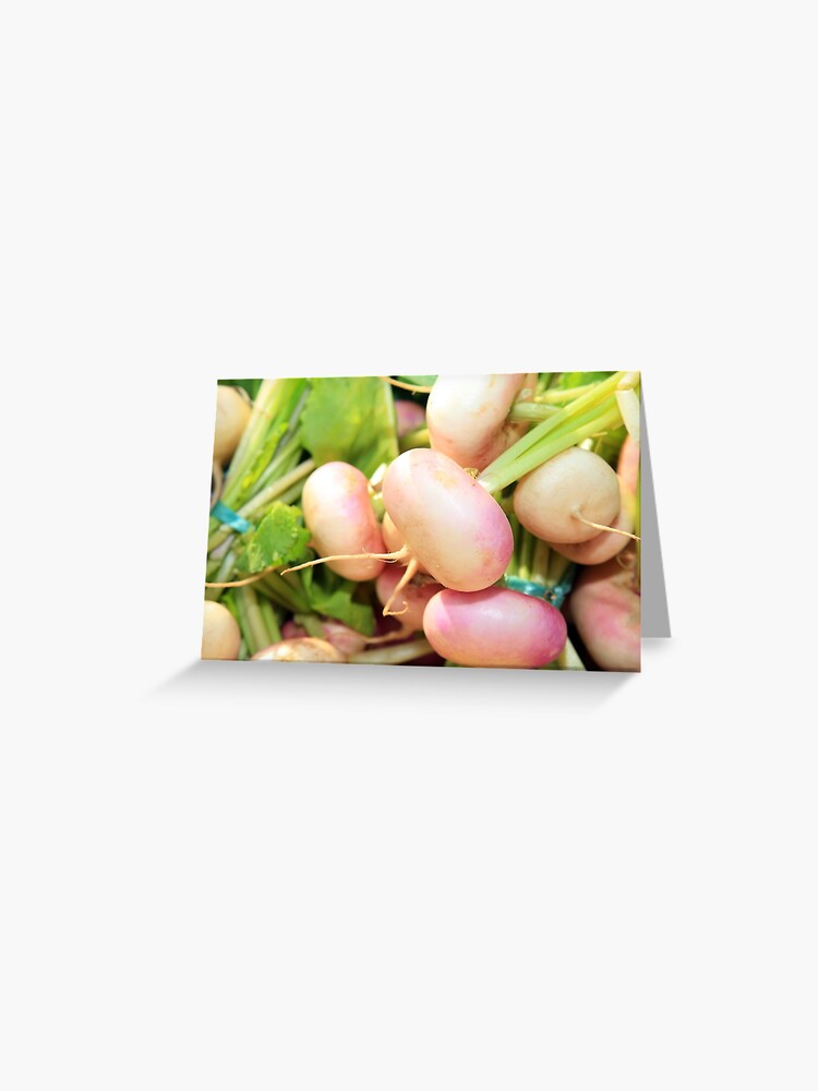 Thumbnail 1 of 2, Greeting Card, www.lizgarnett.com ... St Cast Turnips, Brittany, France designed and sold by lizgarnett.