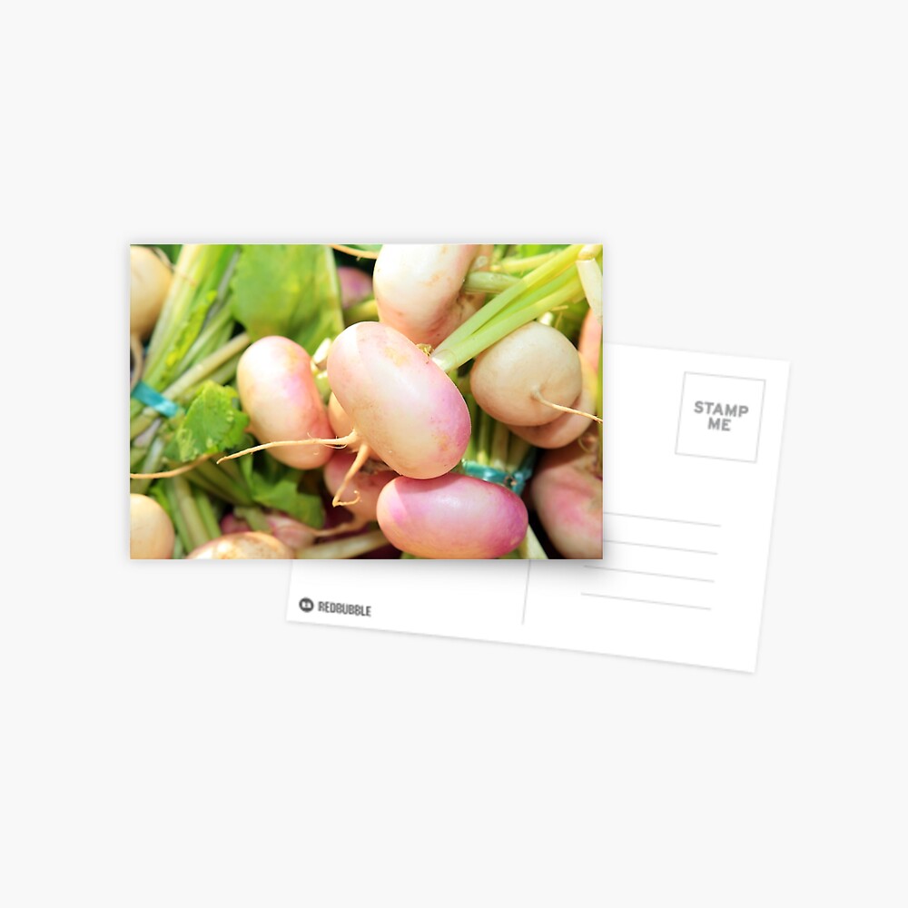 Item preview, Postcard designed and sold by lizgarnett.