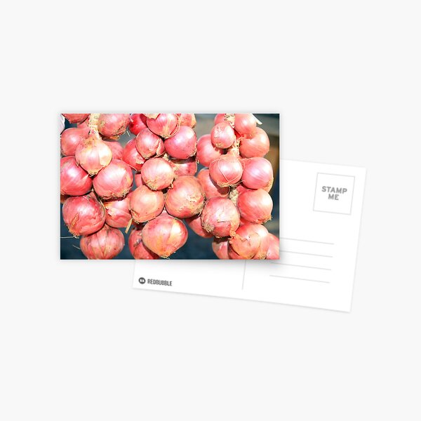 www.lizgarnett.com ... St Cast Red Onions, Brittany, France Postcard