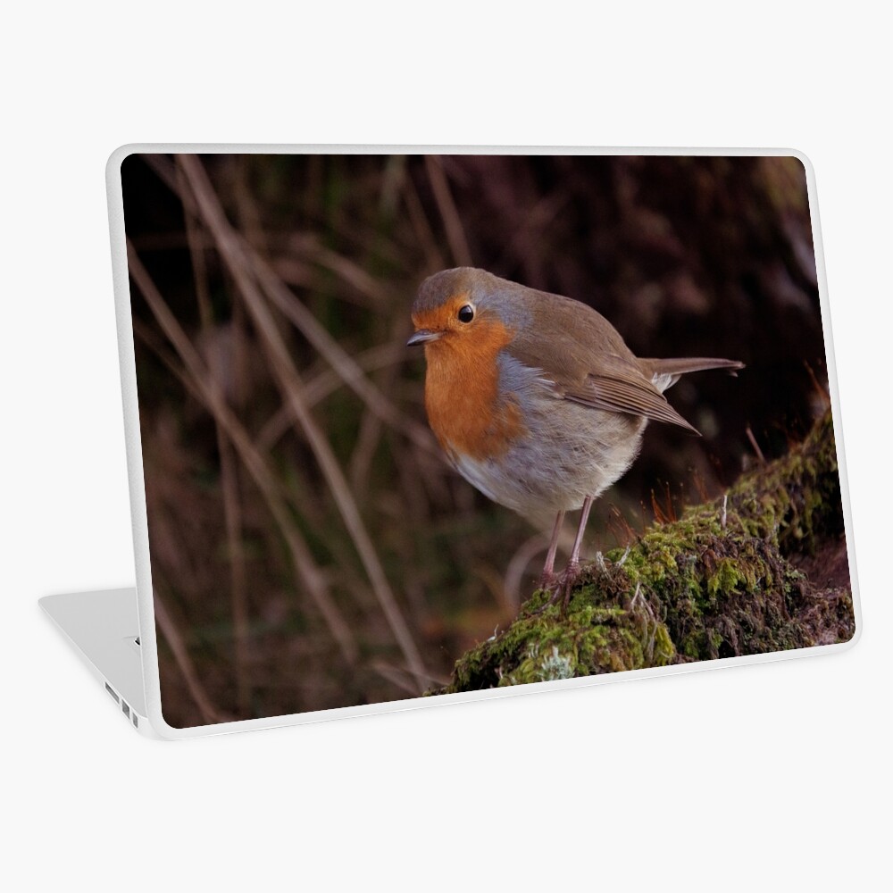 Item preview, Laptop Skin designed and sold by Hike-and-Click.