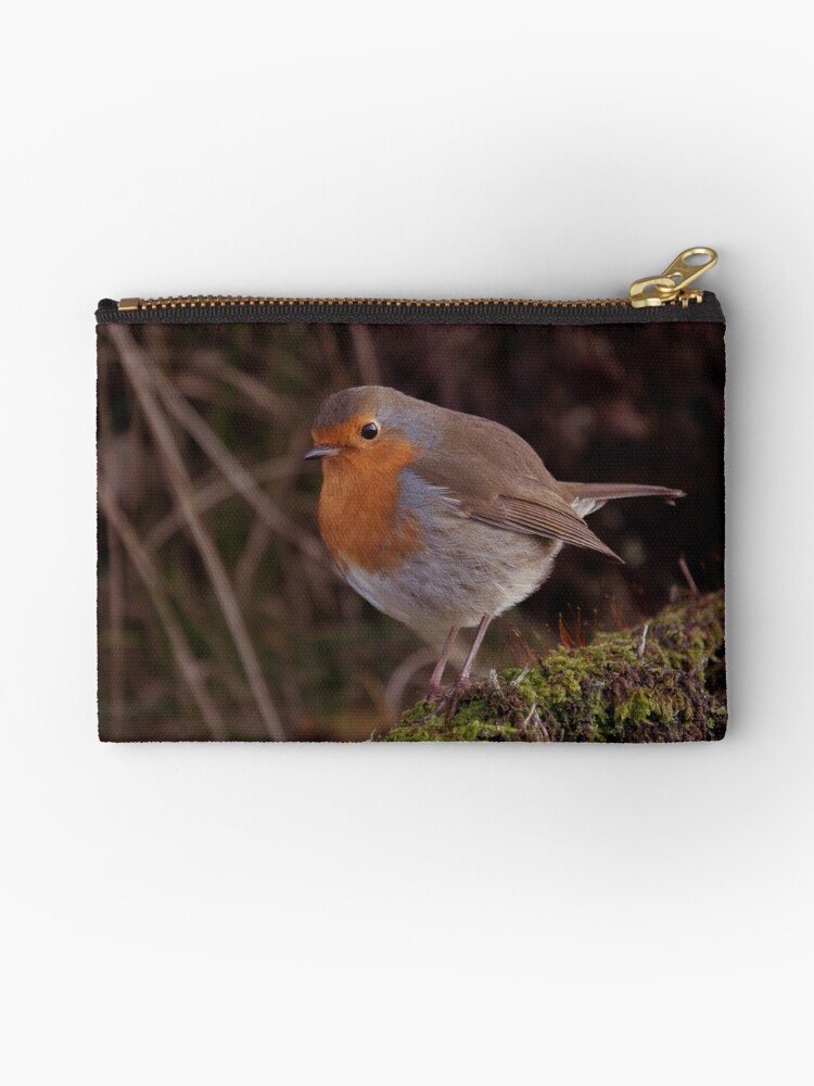 Thumbnail 1 of 4, Zipper Pouch, Robin red breast designed and sold by Hike-and-Click.