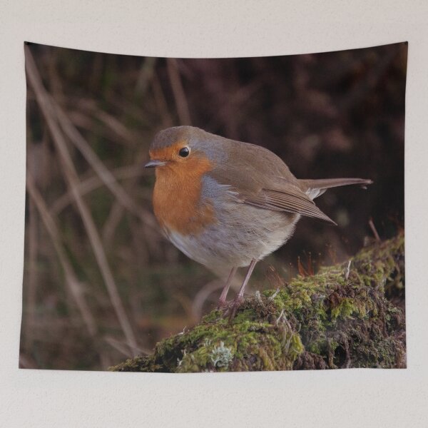 Item preview, Robin red breast designed and sold by Hike-and-Click.