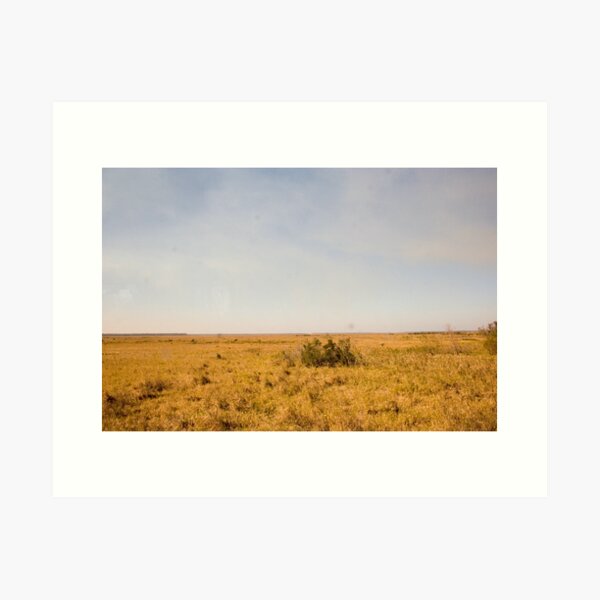 Louisiana Fields Art Print