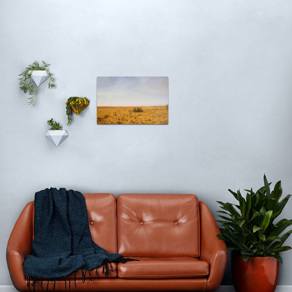 Louisiana Fields Metal Print