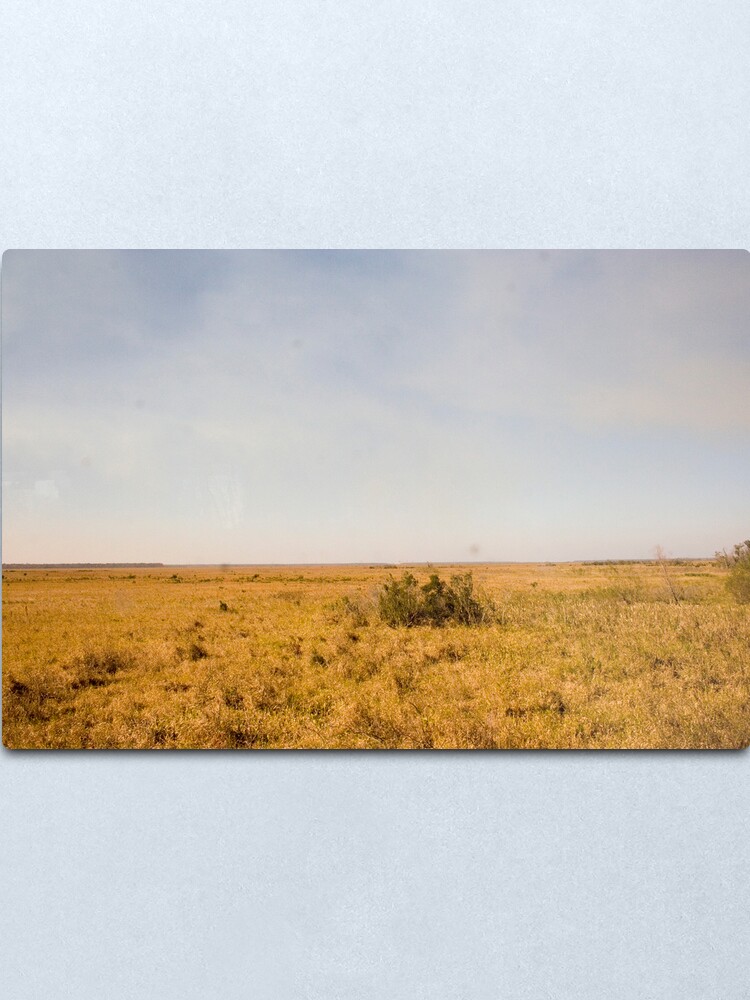 Alternate view of Louisiana Fields Metal Print