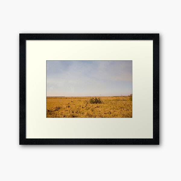 Louisiana Fields Framed Art Print