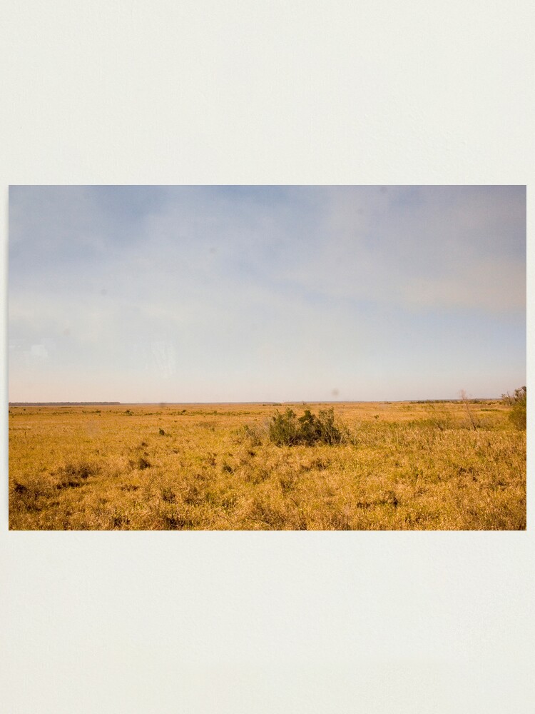 Alternate view of Louisiana Fields Photographic Print