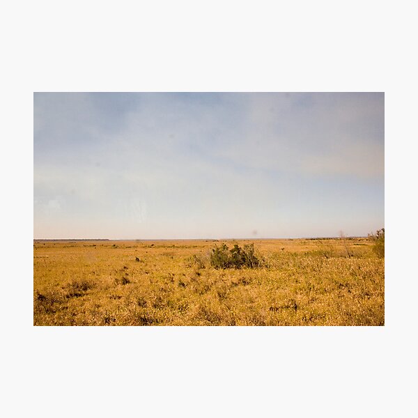 Louisiana Fields Photographic Print