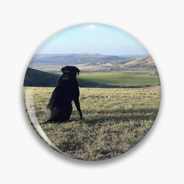 Item preview, Dog with a view. Black labrador dog on the South Downs at Firle in Sussex. designed and sold by Emma  Amies.