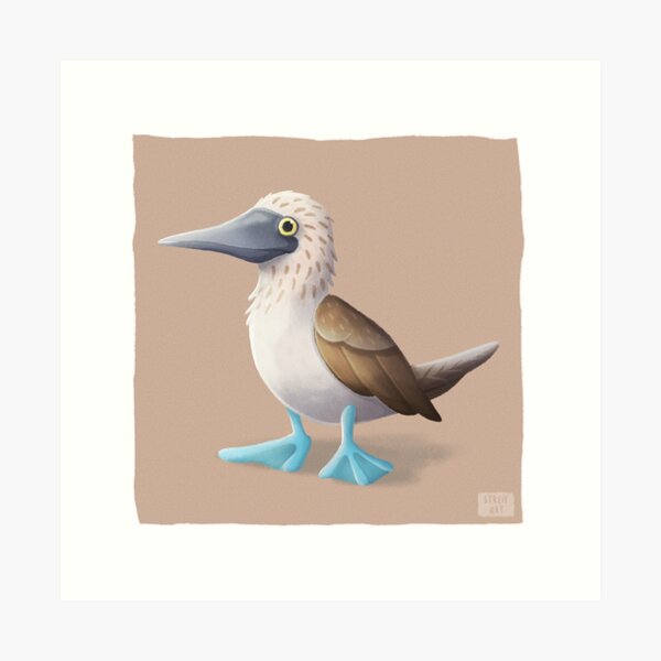 Nice Boobies Illustrated Blue Footed Boobies Mug – Flying Fig Studio