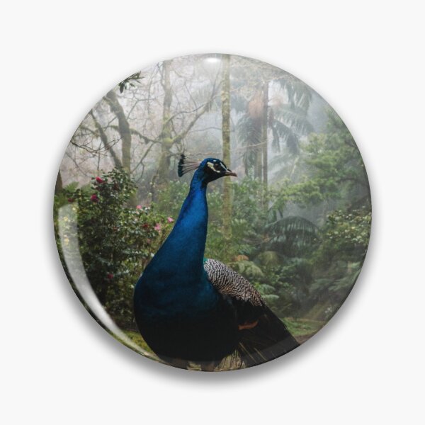 Item preview, Peafowl  designed and sold by asun5.