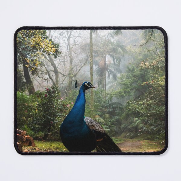 Item preview, Peafowl designed and sold by asun5.