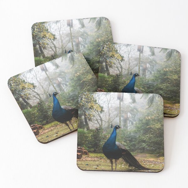 Item preview, Peafowl  designed and sold by asun5.