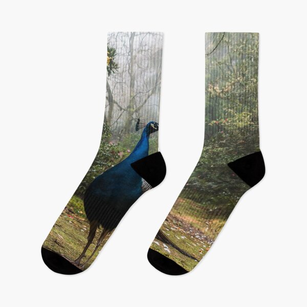 Item preview, Peafowl  designed and sold by asun5.