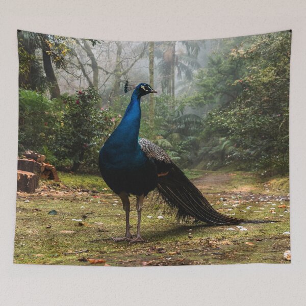 Item preview, Peafowl  designed and sold by asun5.