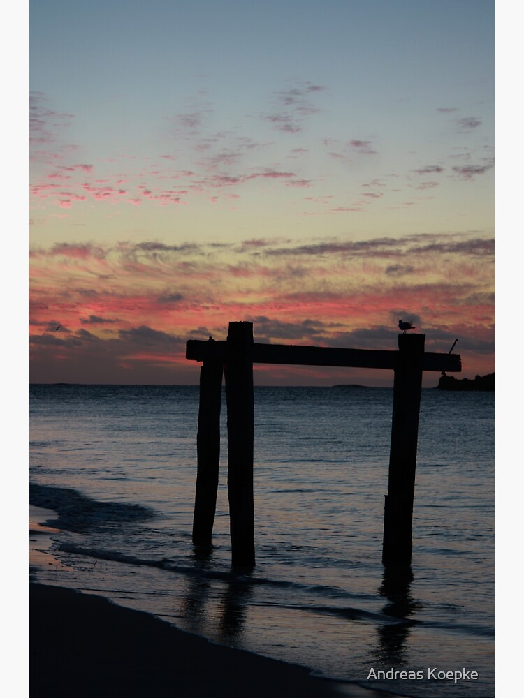 Thumbnail 2 of 2, Postcard, Hamelin Bay Sunset designed and sold by Andreas Koepke.