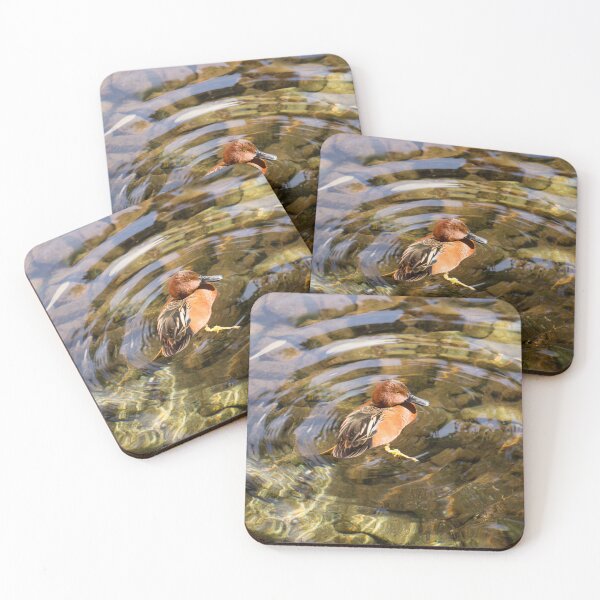 Item preview, Cinnamon Teal Duck and Transparent Reflections designed and sold by Georgia Mizuleva.