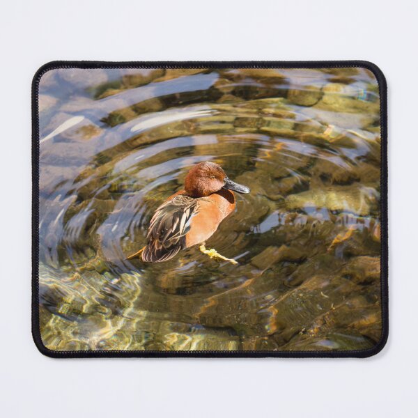 Item preview, Cinnamon Teal Duck and Transparent Reflections designed and sold by Georgia Mizuleva.
