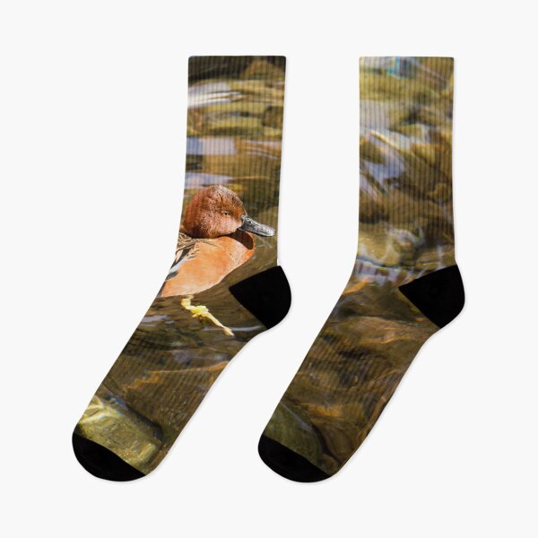 Item preview, Cinnamon Teal Duck and Transparent Reflections designed and sold by Georgia Mizuleva.