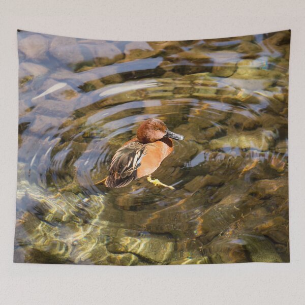 Item preview, Cinnamon Teal Duck and Transparent Reflections designed and sold by Georgia Mizuleva.