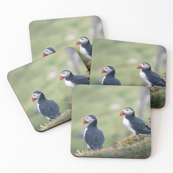 Item preview, Three puffins looking over the sea designed and sold by Koolmees.