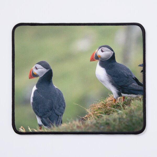 Item preview, Three puffins looking over the sea designed and sold by Koolmees.