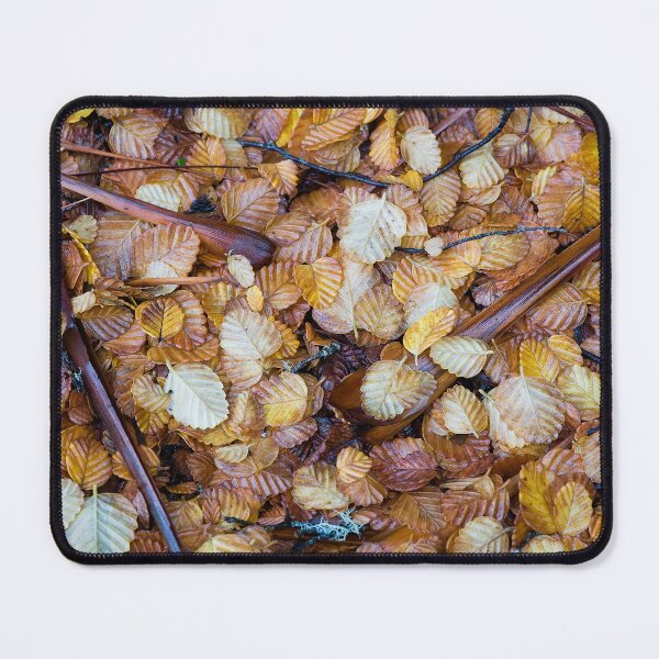 Item preview, Fagus and Pandanus in Autumn designed and sold by Mel Brackstone.