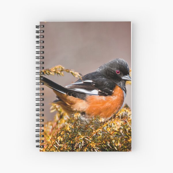 Item preview, Eastern Towhee designed and sold by Michael Cummings.