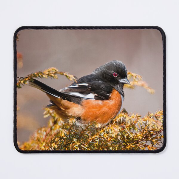 Item preview, Eastern Towhee designed and sold by Michael Cummings.
