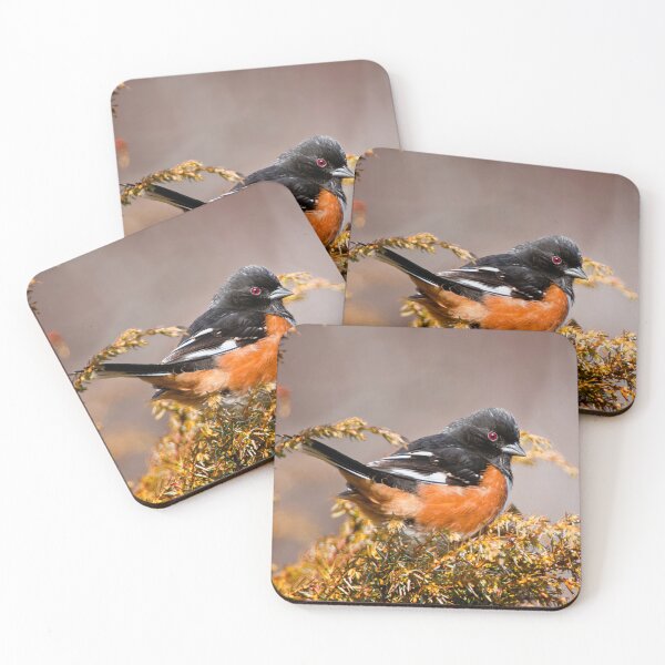 Item preview, Eastern Towhee designed and sold by Michael Cummings.