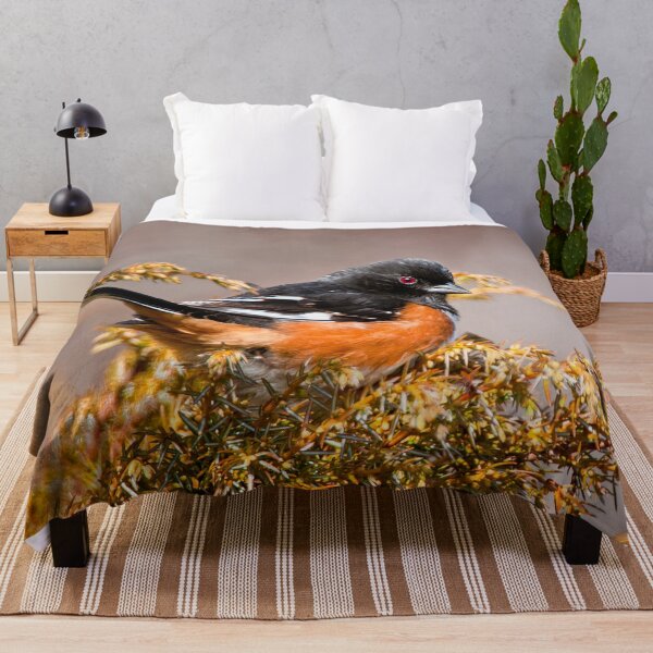 Item preview, Eastern Towhee designed and sold by Michael Cummings.
