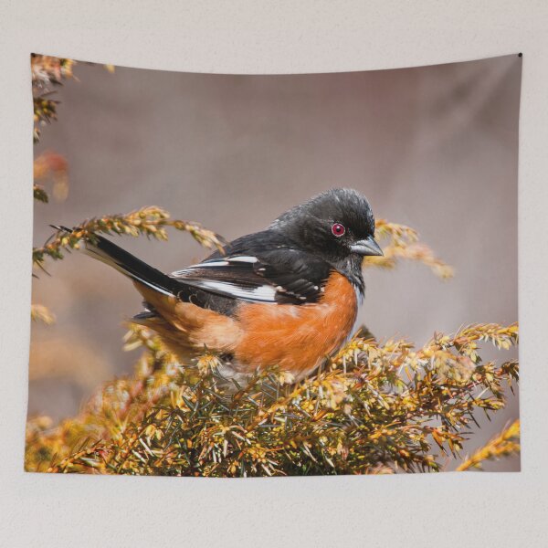 Item preview, Eastern Towhee designed and sold by Michael Cummings.