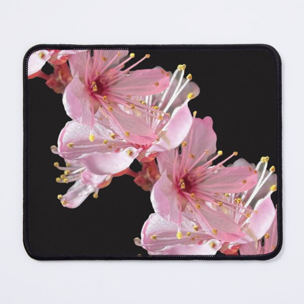 Item preview, Cherry Blossom designed and sold by Binas-gallery.