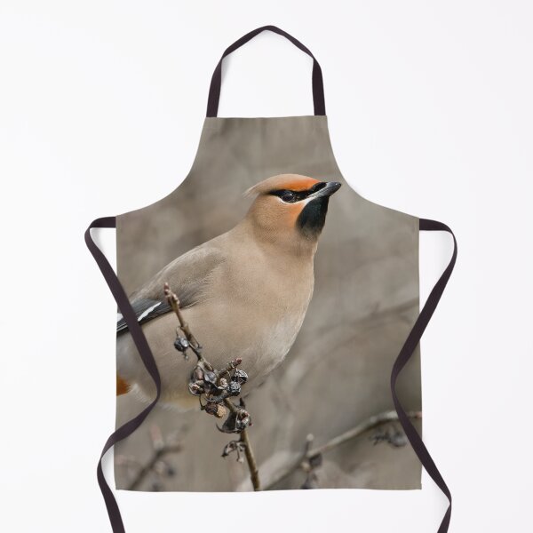 Item preview, Bohemian Waxwing designed and sold by Michael Cummings.
