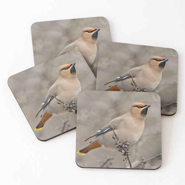 Item preview, Bohemian Waxwing designed and sold by Michael Cummings.