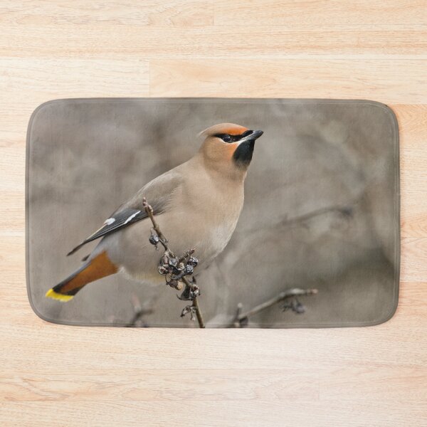 Item preview, Bohemian Waxwing designed and sold by Michael Cummings.