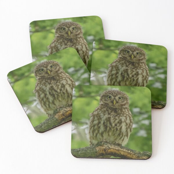 Item preview, The littlest of owls.  designed and sold by JoHackman.