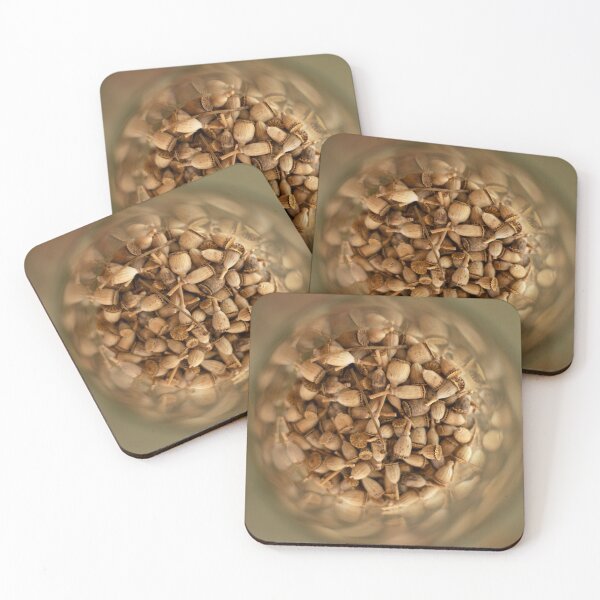 Item preview, poppy capsules designed and sold by estebanezcurra8.