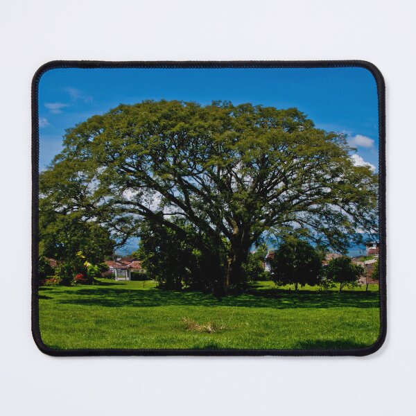 Item preview, Shade Tree In The Tropics designed and sold by alabca.