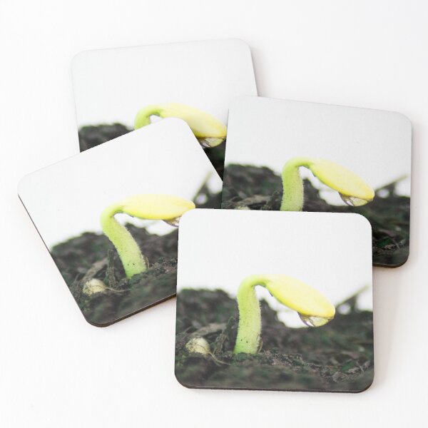 Item preview, New Shoot designed and sold by Sophie Baldwin.