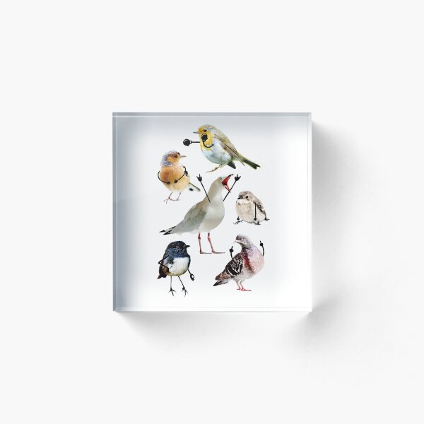 Birds With Arms Acrylic Block