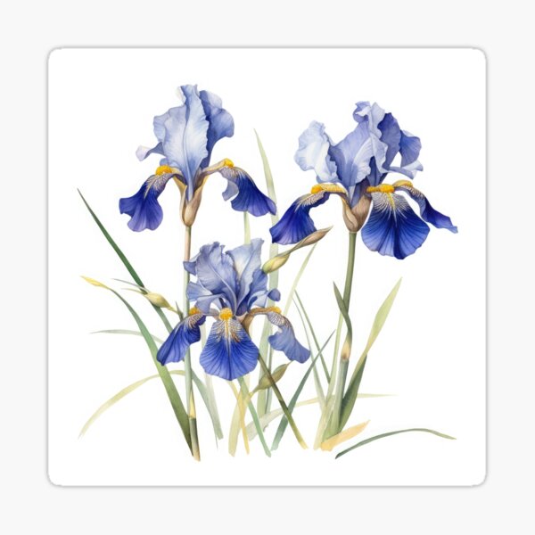 Item preview, Blue Irises  designed and sold by Vanover Designs.