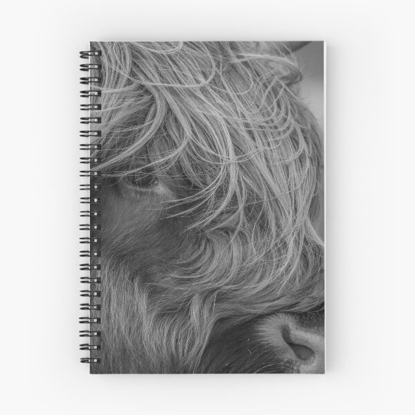 Item preview, Highland cow.  designed and sold by JoHackman.
