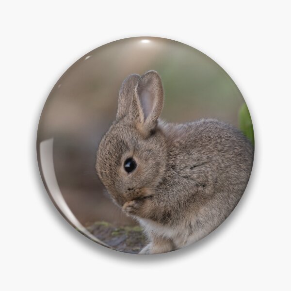 Item preview, Baby Rabbit. designed and sold by JoHackman.